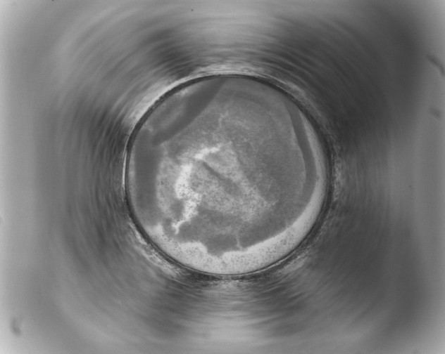 X0000103901228200810031141