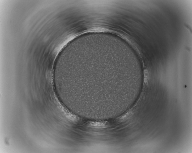 X0000103901229200810031141