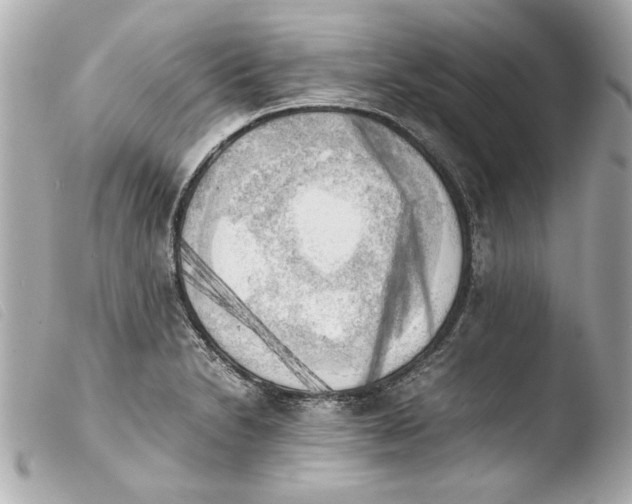 X0000103901230200810031141