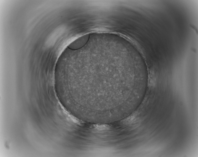 X0000103901231200810031141