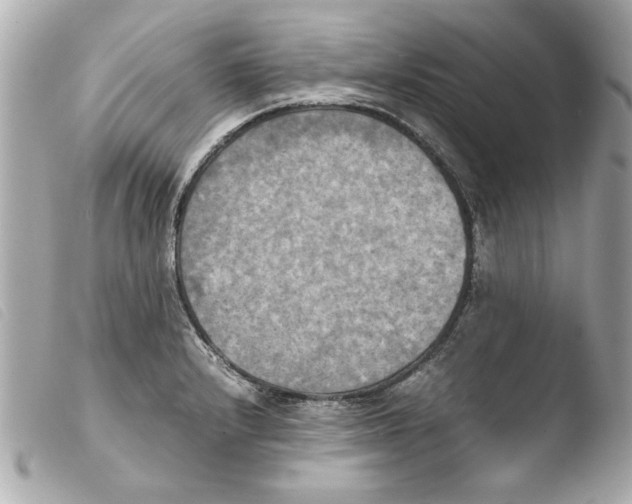 X0000103901232200810031141