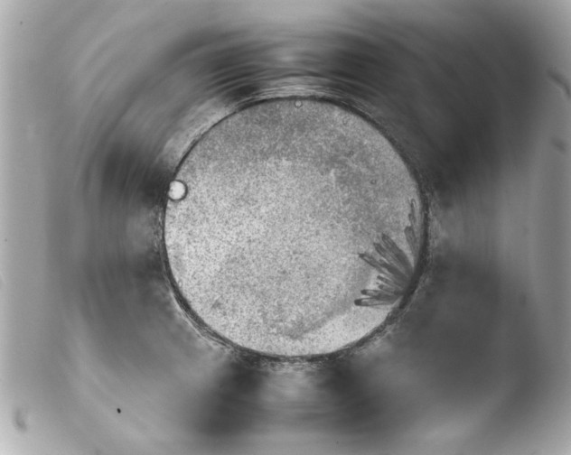 X0000103901233200810031141