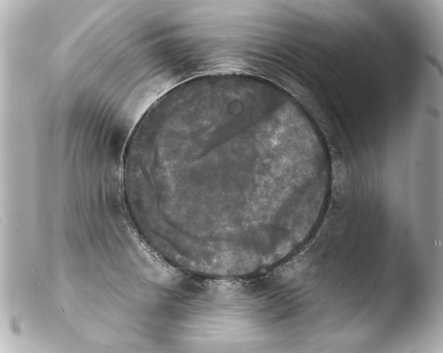 X0000103901234200810031141