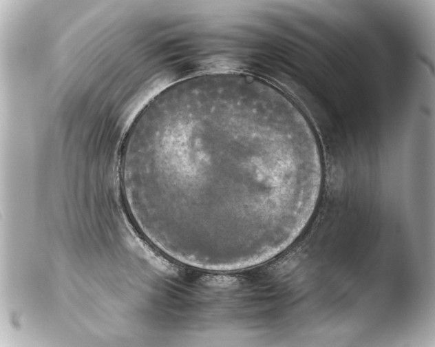 X0000103901235200810031141