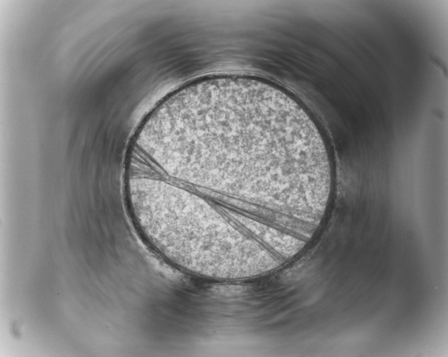 X0000103901237200810031141