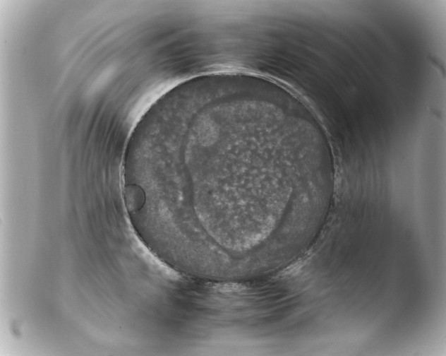 X0000103901239200810031141