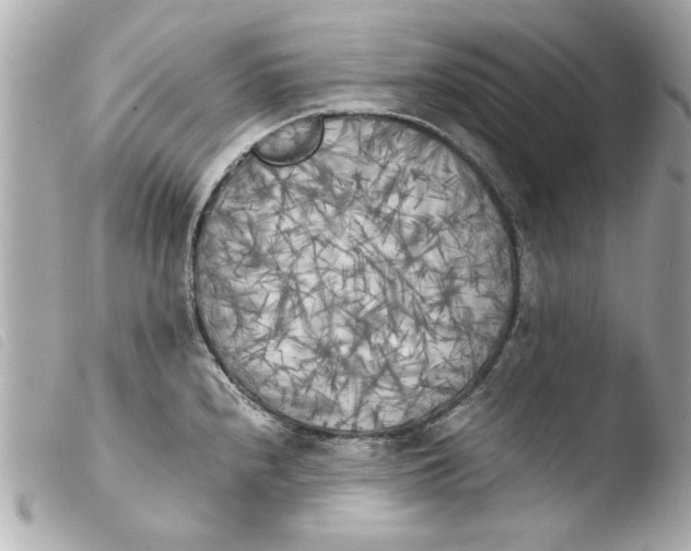 X0000103901240200810031141