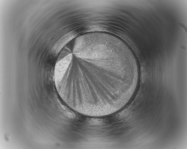 X0000103901241200810031141