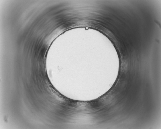 X0000103901242200810031141