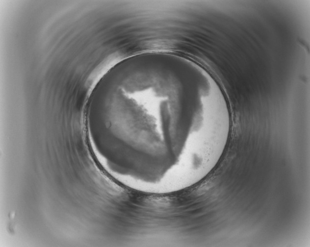 X0000103901243200810031141