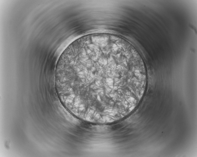 X0000103901244200810031141