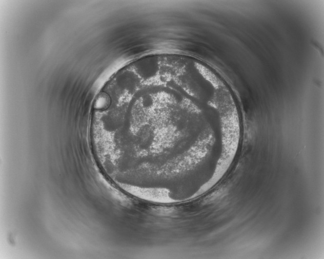 X0000103901245200810031141