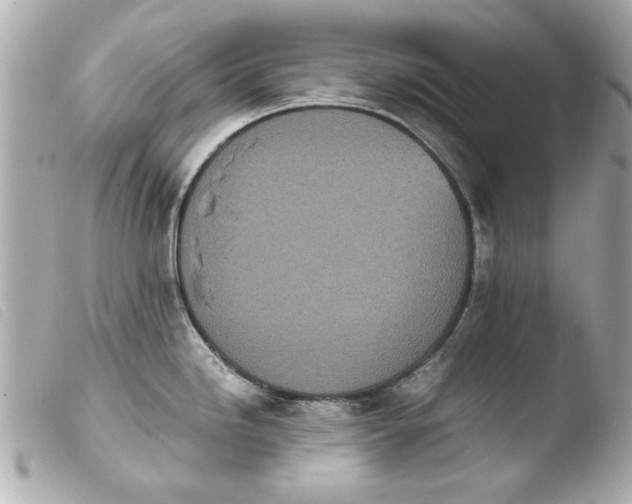 X0000103901246200810031141