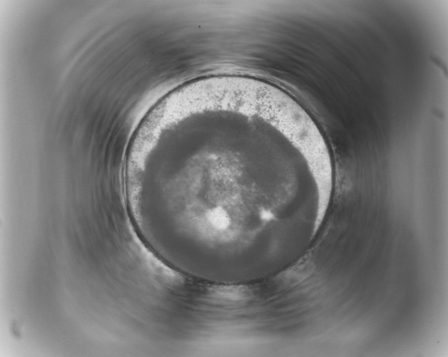 X0000103901247200810031141