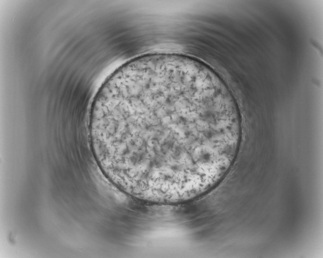 X0000103901248200810031141