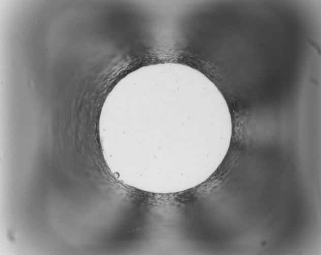 X0000103901249200810031141