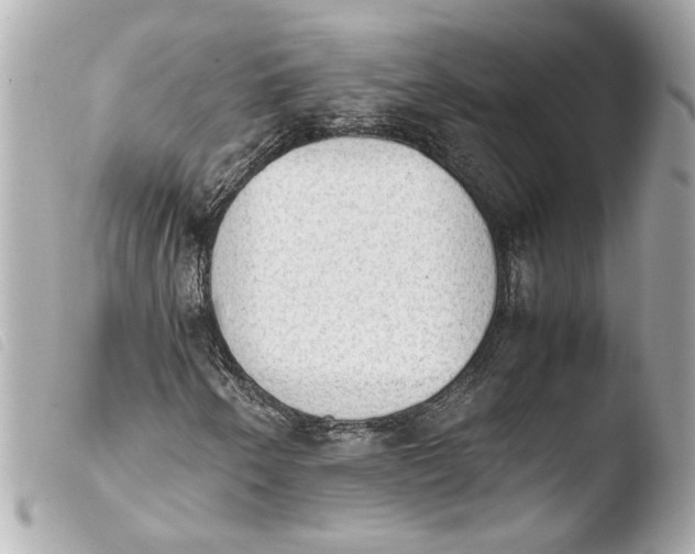 X0000103901250200810031141