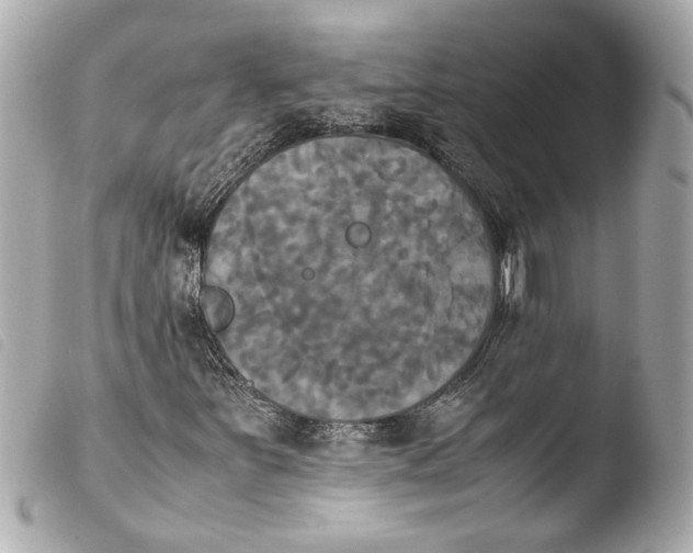 X0000103901251200810031141