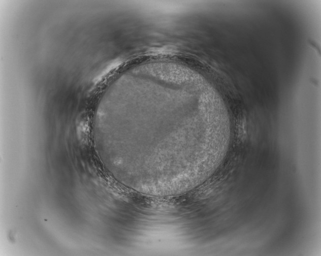 X0000103901254200810031141