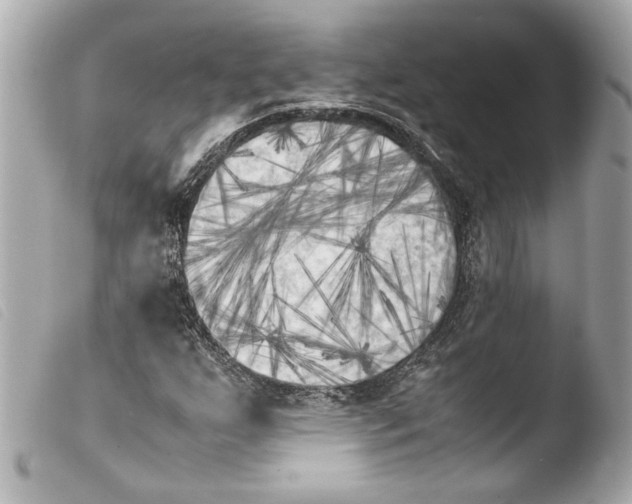 X0000103901255200810031141