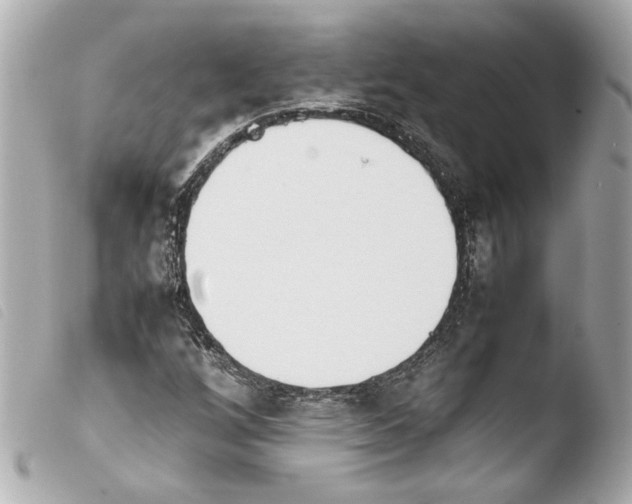 X0000103901256200810031141