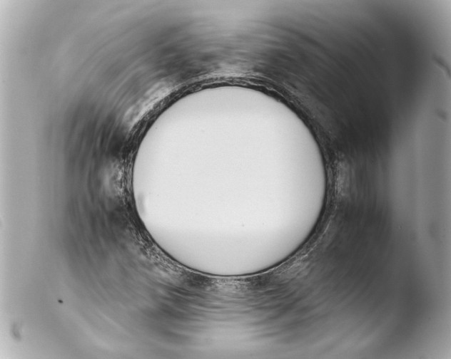 X0000103901258200810031140