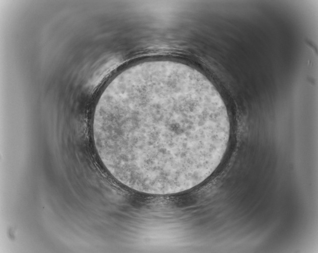 X0000103901259200810031140