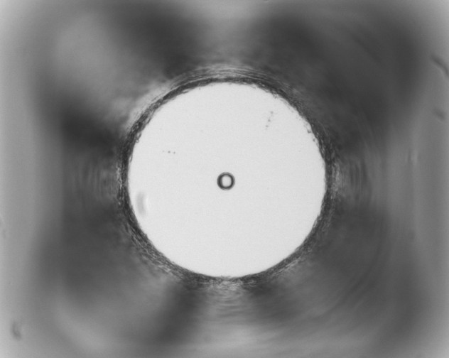 X0000103901261200810031140