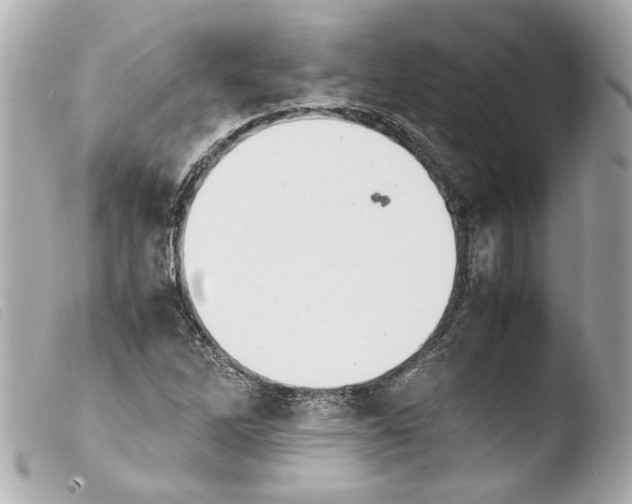 X0000103901262200810031140