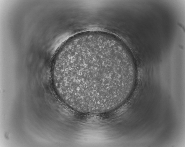 X0000103901263200810031140