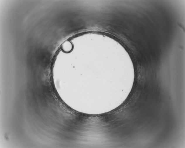 X0000103901264200810031140