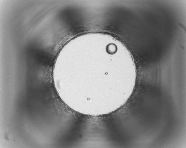 X0000103901265200810031140