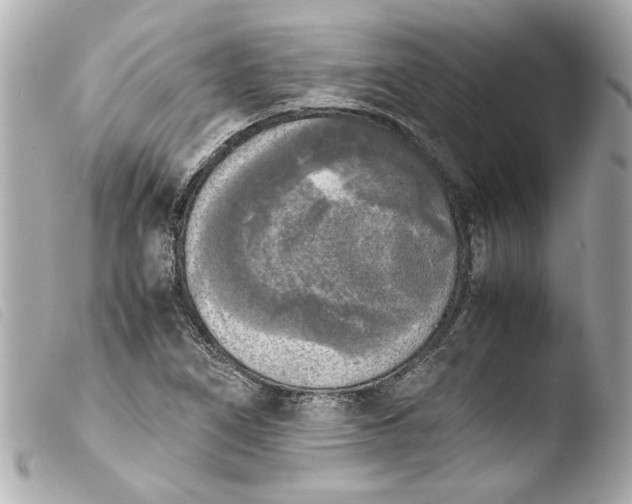 X0000103901266200810031140