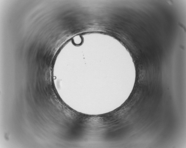 X0000103901268200810031140