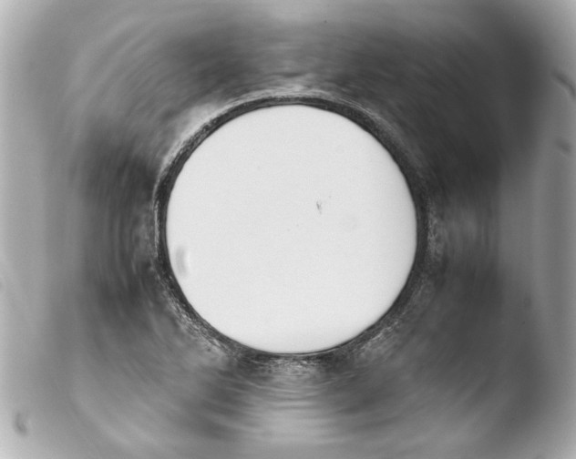 X0000103901270200810031140