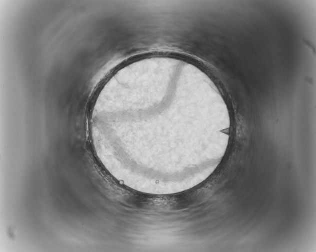 X0000103901271200810031140