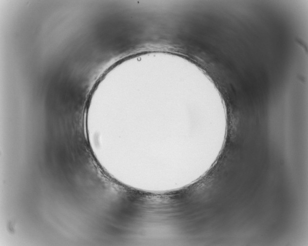 X0000103901272200810031140