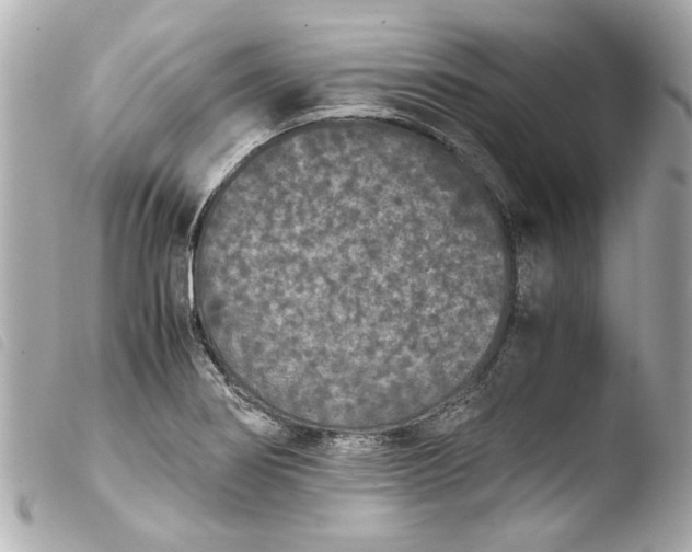 X0000103901274200810031140