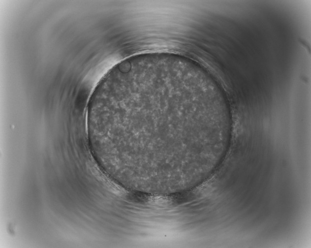 X0000103901275200810031140