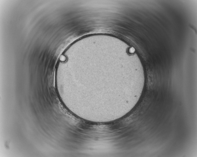 X0000103901276200810031140