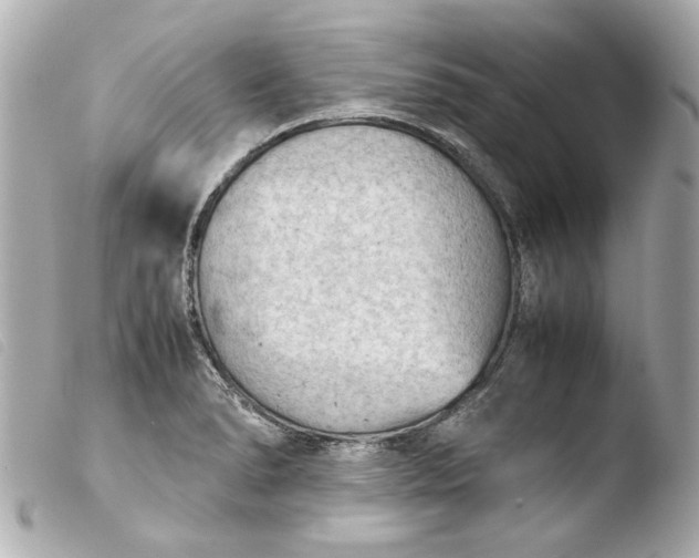 X0000103901278200810031140