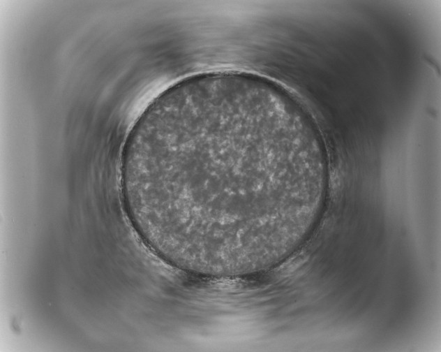 X0000103901279200810031140