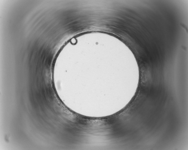 X0000103901280200810031140