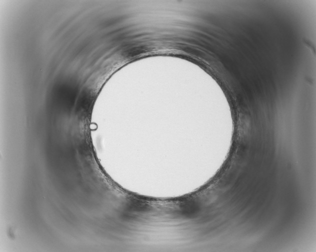 X0000103901281200810031140