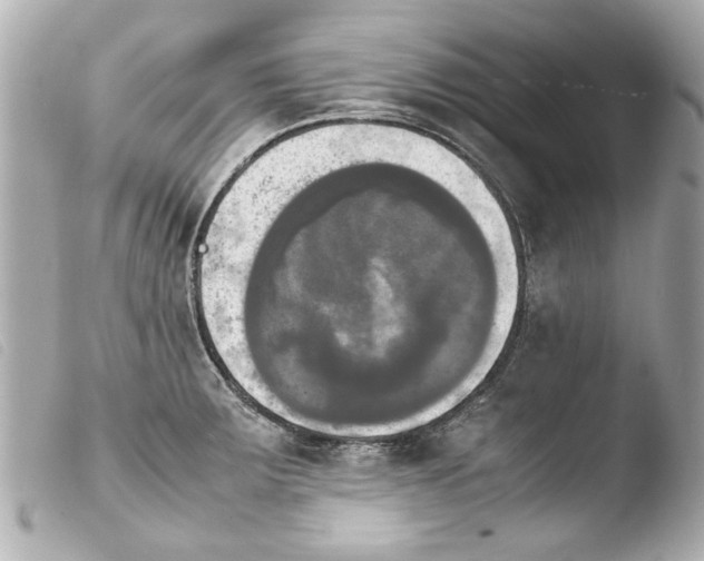 X0000103901283200810031140