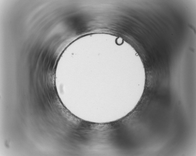 X0000103901284200810031140