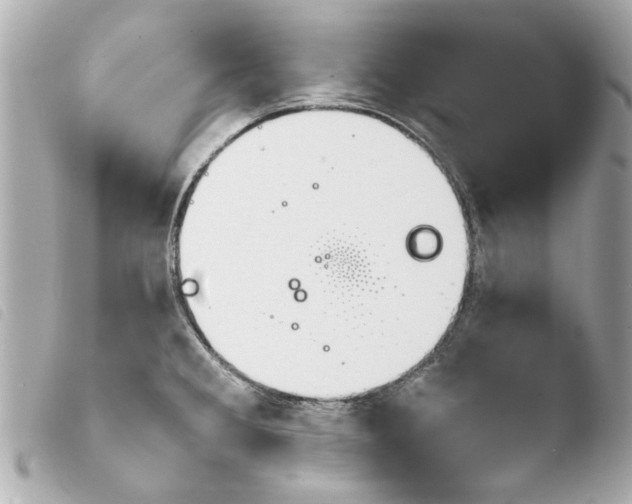 X0000103901285200810031140