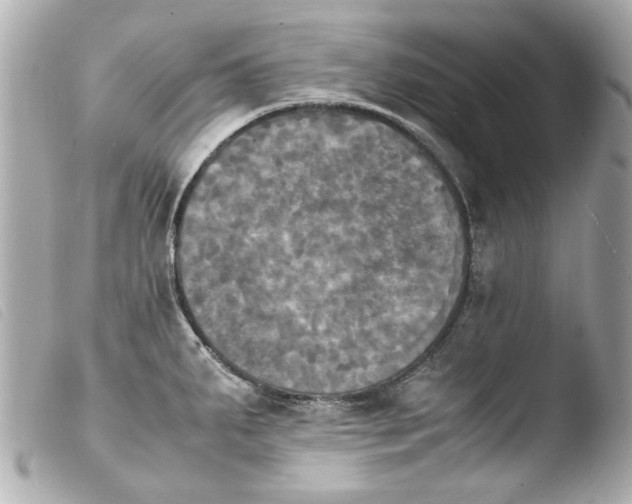 X0000103901287200810031140