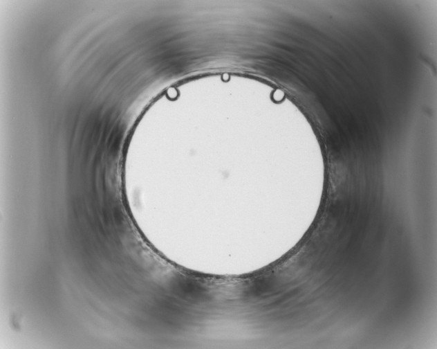 X0000103901288200810031140