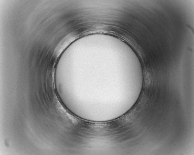 X0000103901290200810031140